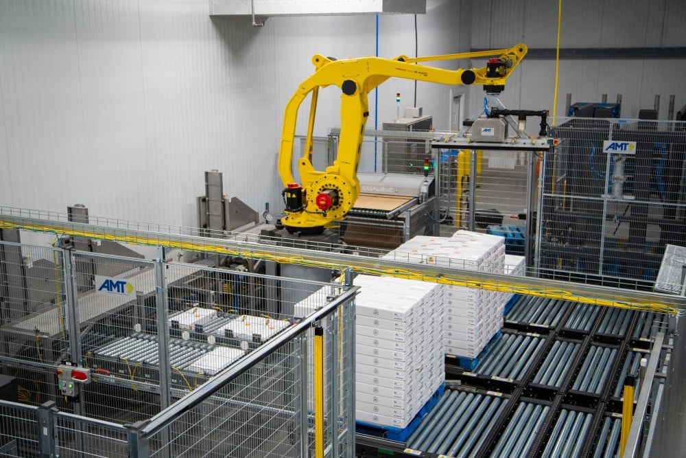 Palletizing robot